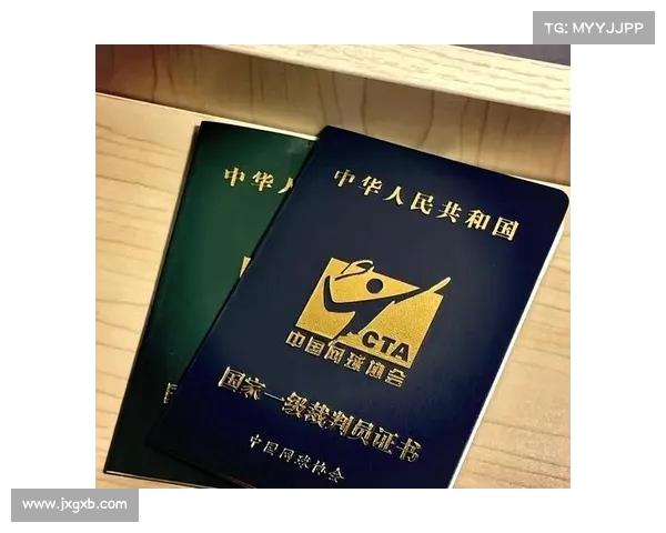 网球比赛裁判培训全方位指南 提升裁判技能与判罚精准度 网球比赛裁判培训全方位指南 提升裁判技能与判罚精准度