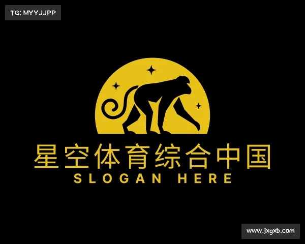 解读星空综合中国官方网站